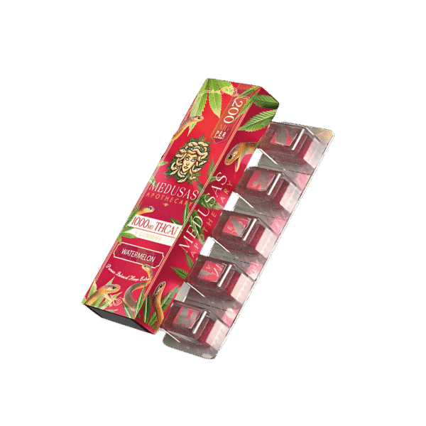 WATERMELON MEDUSA - Image 3