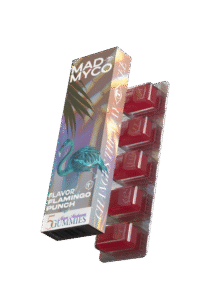 MAD MYCO FLAMINGO PUNCH